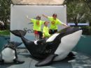 What a fun ride on Shamu