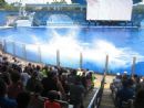 We love getting Splashed