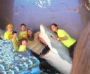 Oh no it looks like Jonah and the Whale, but our brave Campers will save their Rabbi!
