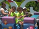 We love roller coasters